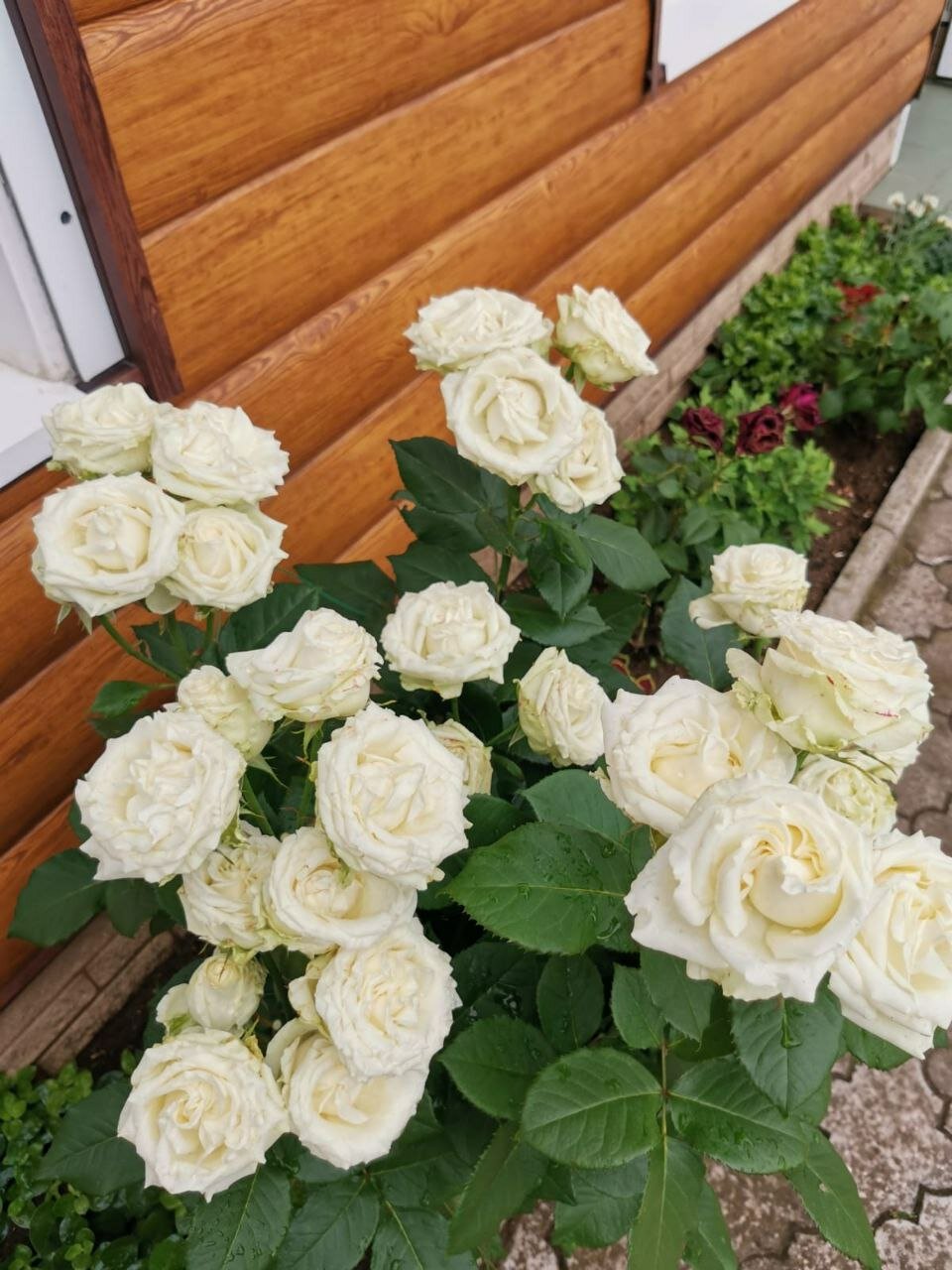 Фото Усадьба