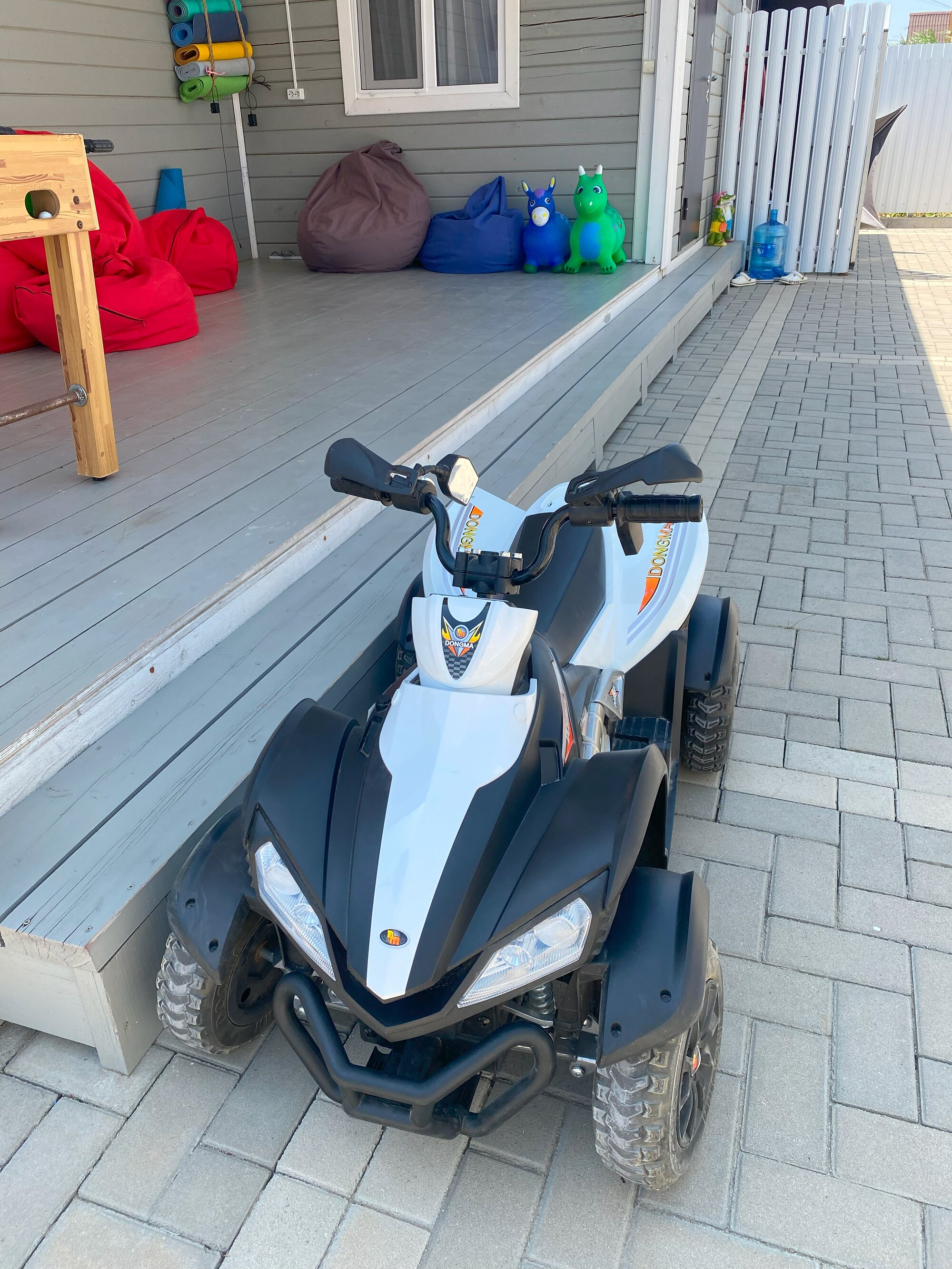 Фото Азовская чайка