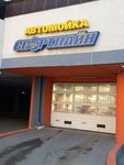 Sportline (Nikolaya Nikonova Street, 21), lavado de coches