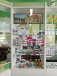 Tsentralnaya rayonnaya apteka (selo Bolshoye Selo, ulitsa Surikova, 14), pharmacy