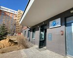 Альбатрос 2015 (Liawkova Street, 30), hoa, junta directiva de snt