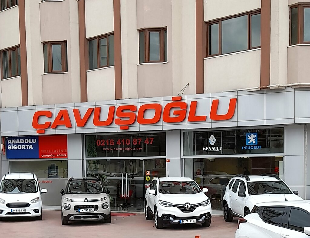 Transport company, car depot Cavusoglu Transport, Istanbul, photo