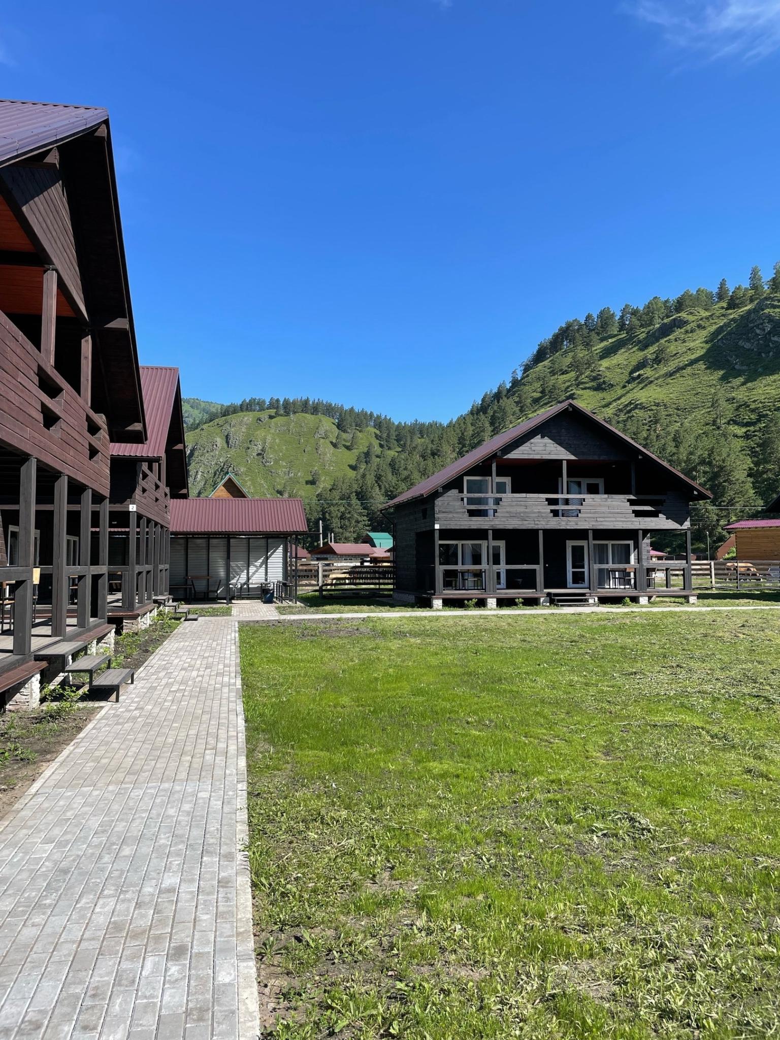 Фото Мамонт