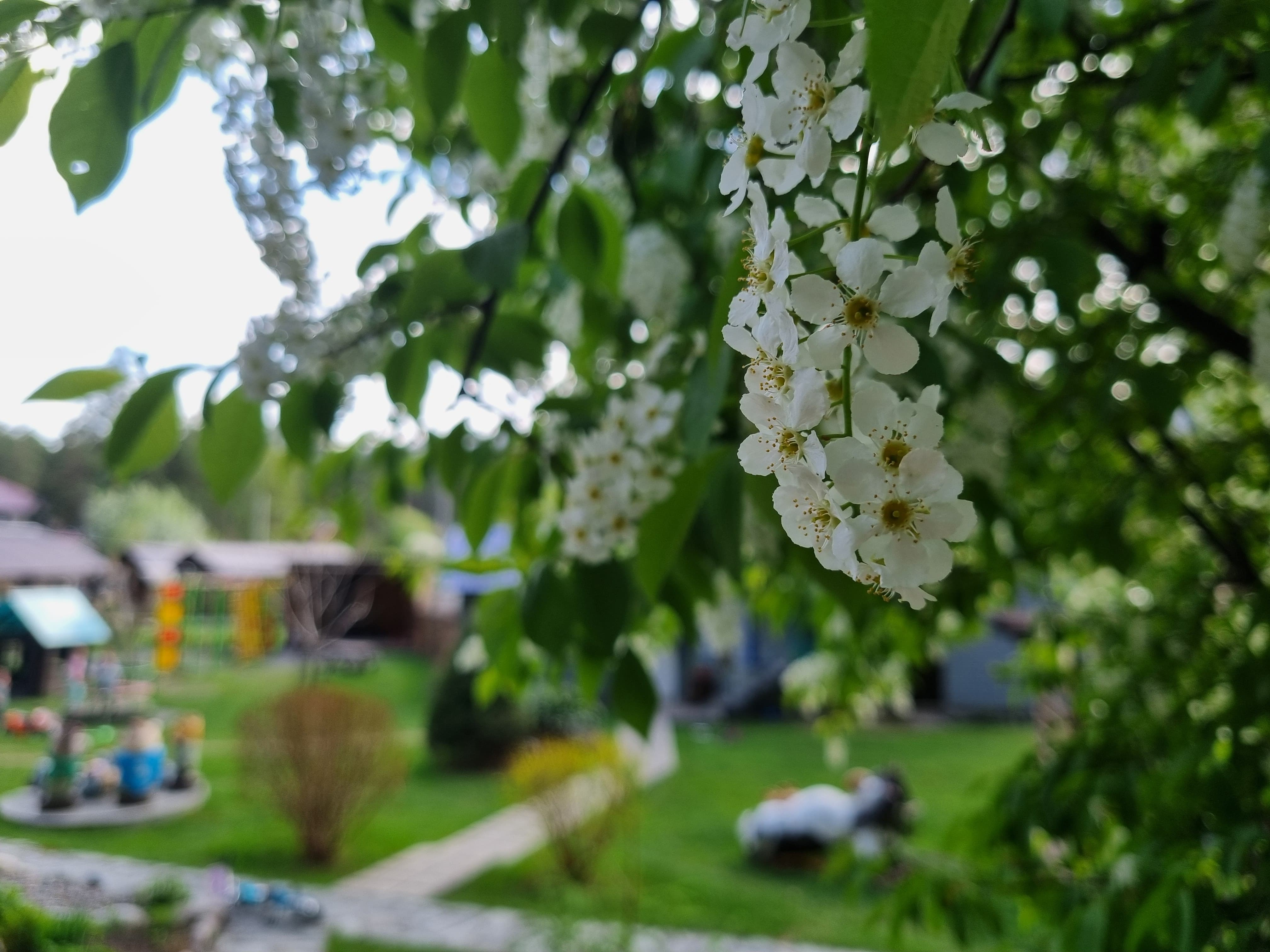 Фото Усадьба Алтын Торбок