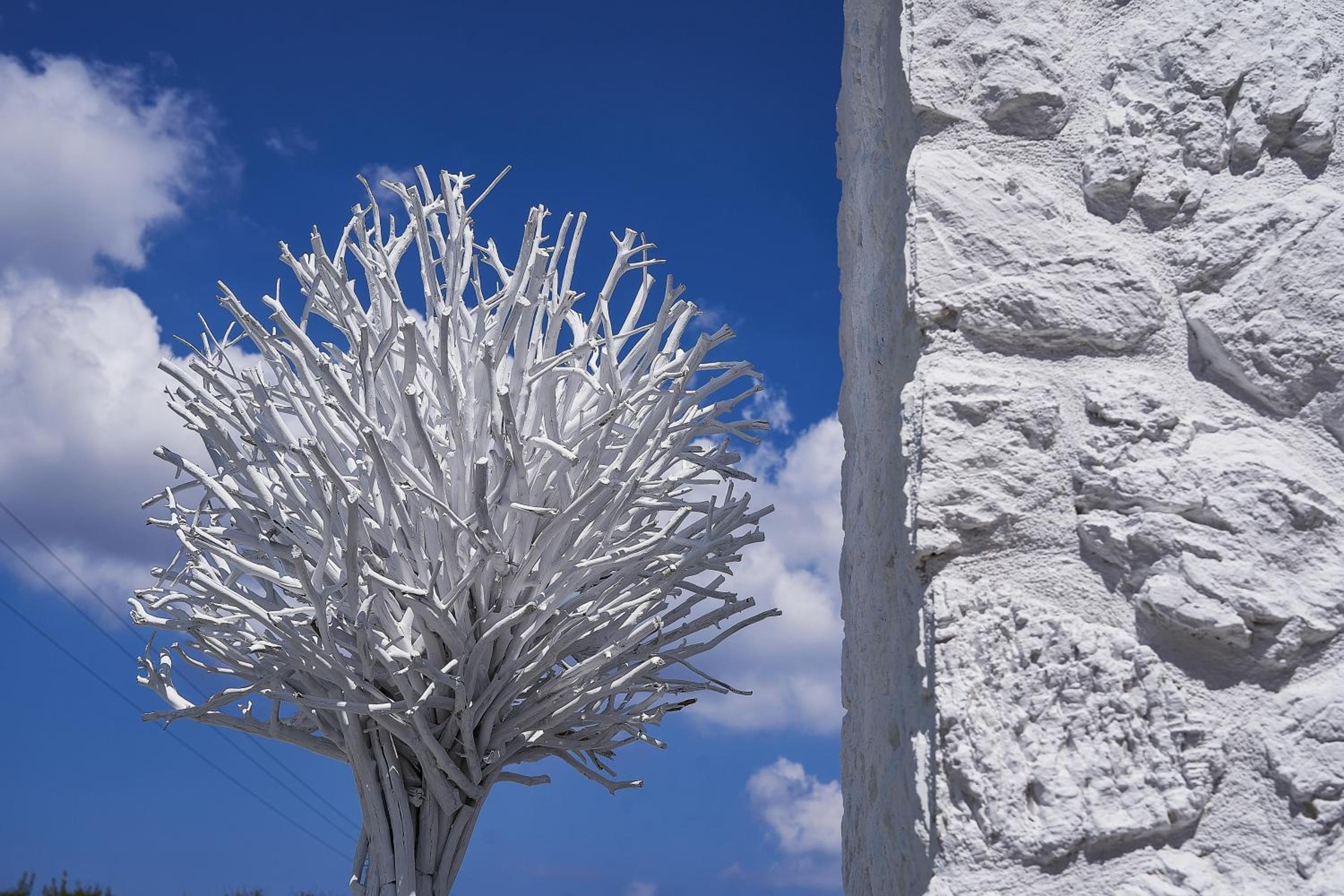 Фото Petri Suites