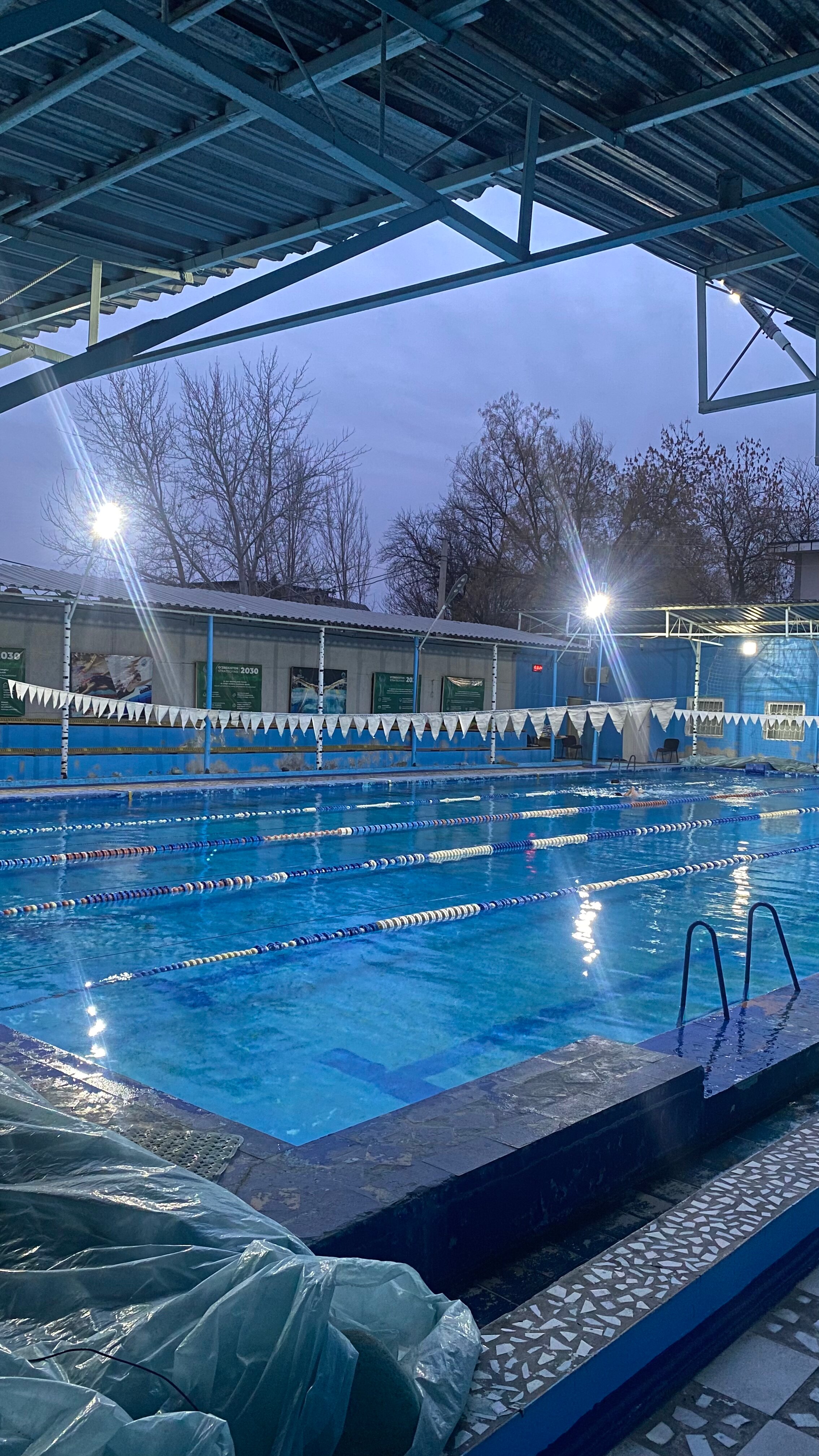 Mushuk qirqish video