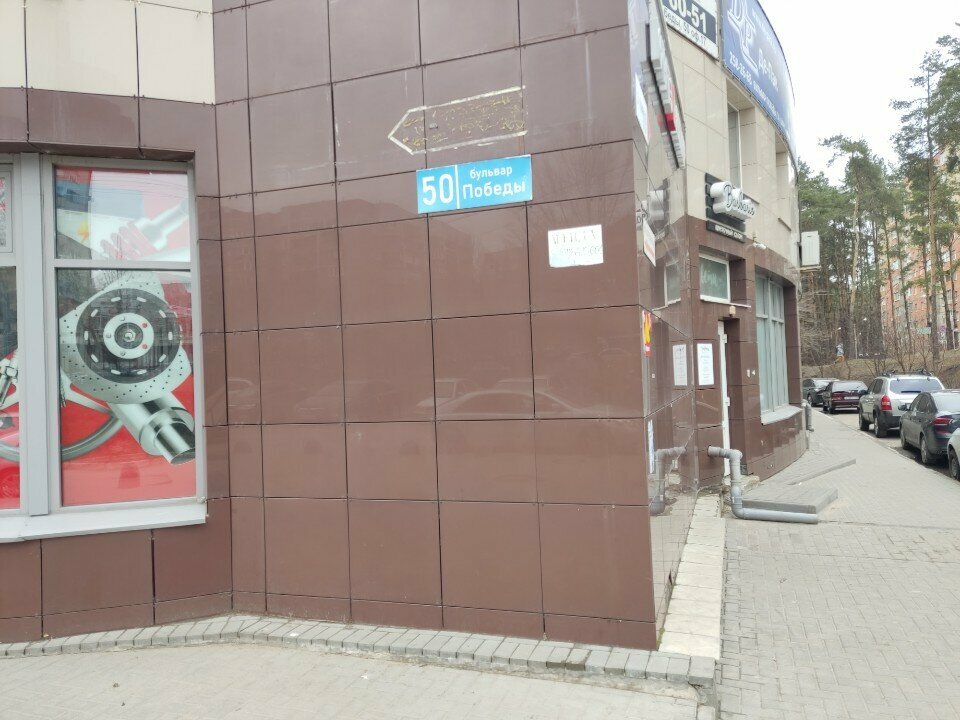 Internet marketing Grey Wolf From Ssp. Marketing, Voronezh, photo
