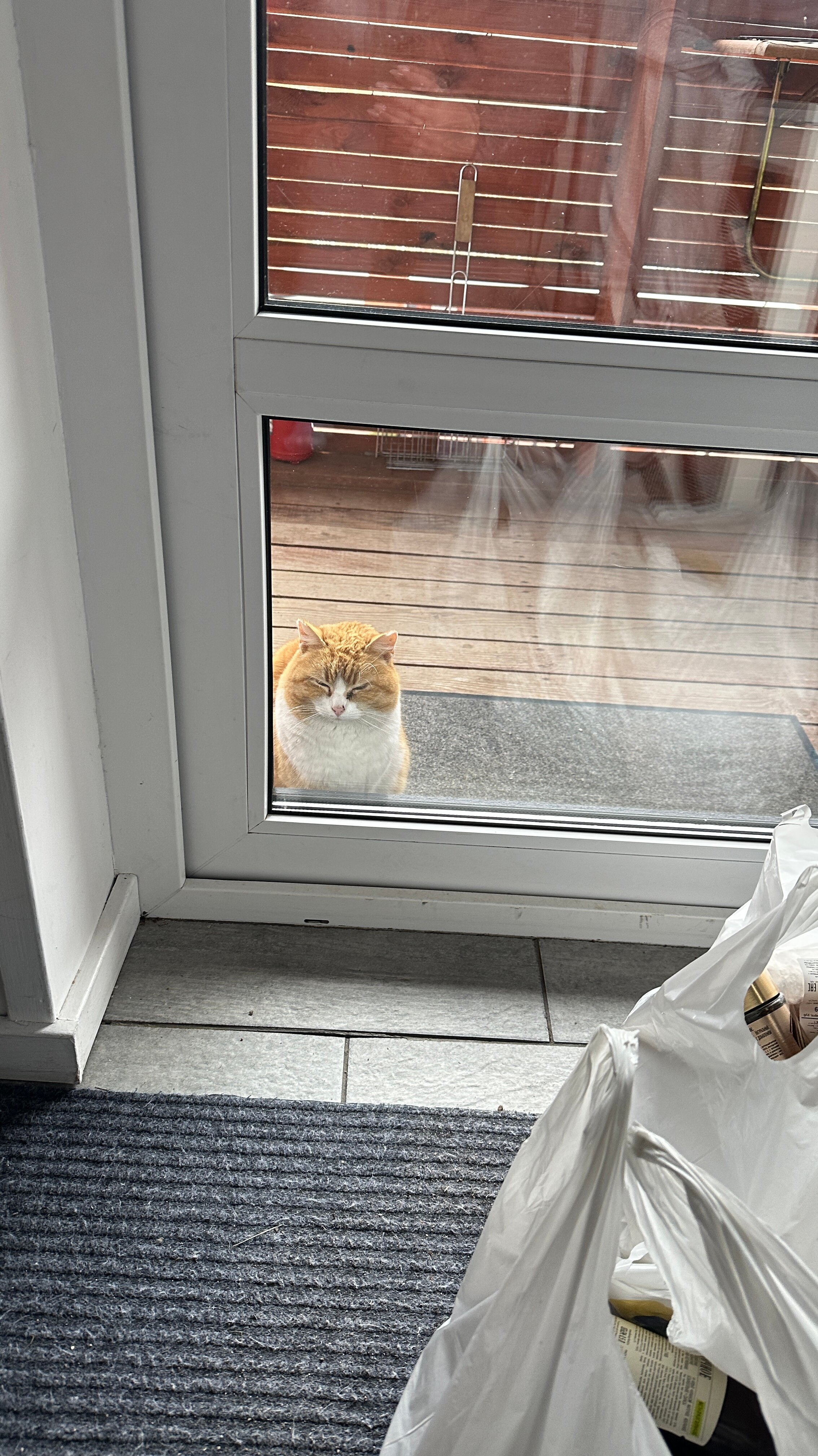 Фото Дом-студия Fox nose