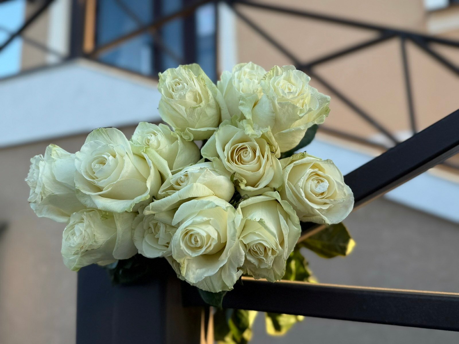 Фото Villa Sarra