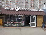 Цветочный день (Vladimira Nevskogo Street, 63А), flower shop