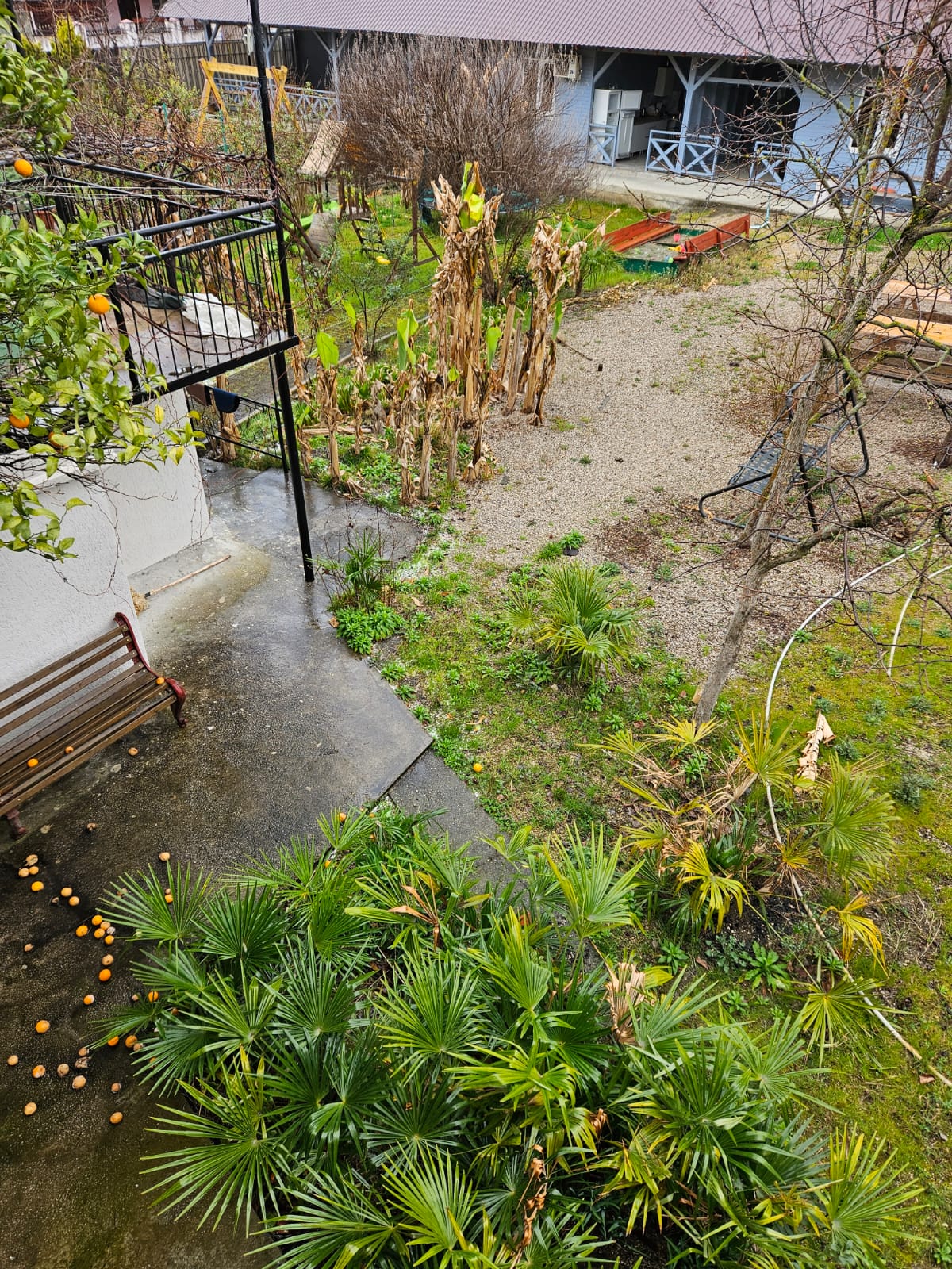 Фото Акварель