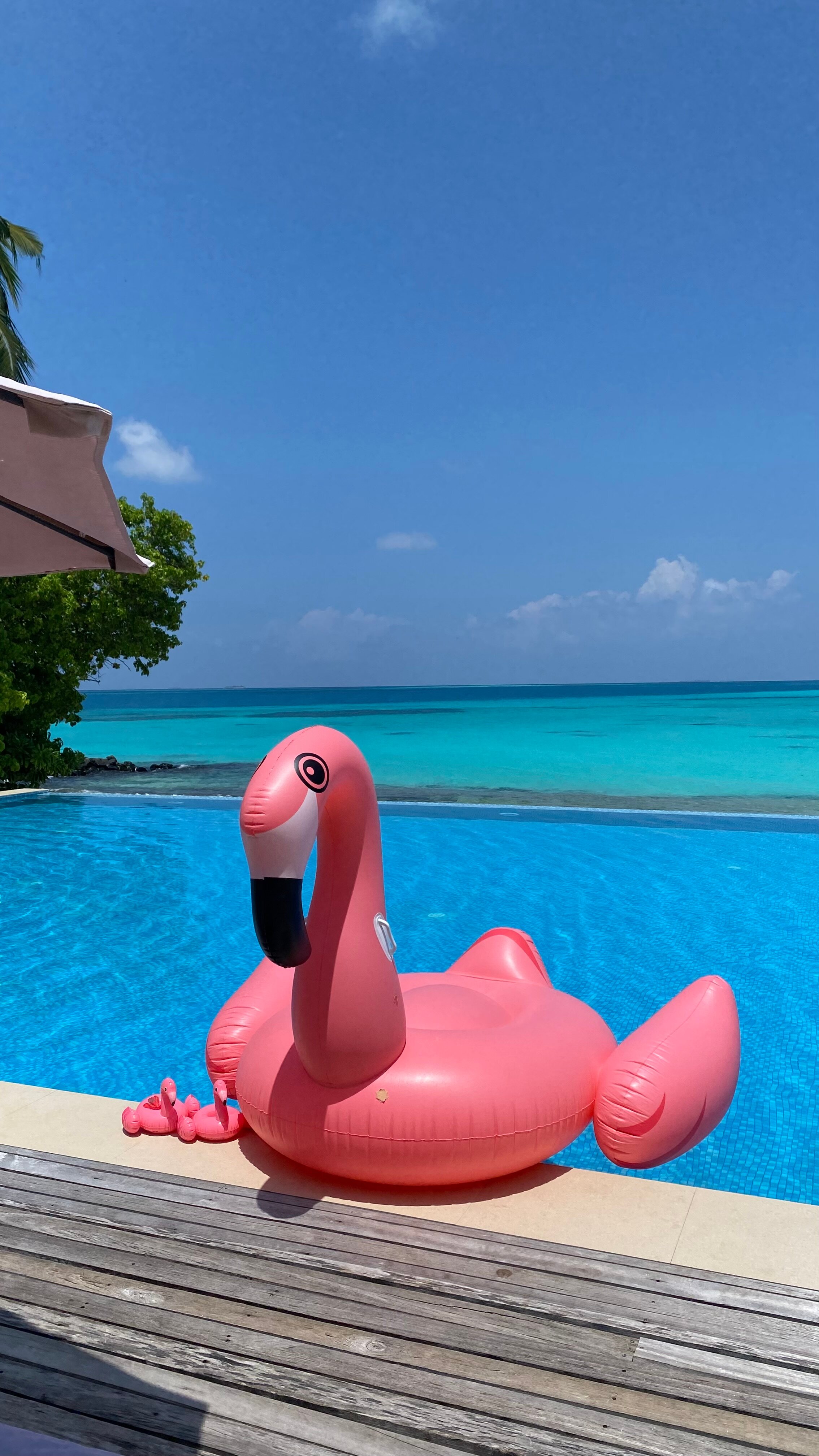 Фото Fiyavalhu Resort Maldives