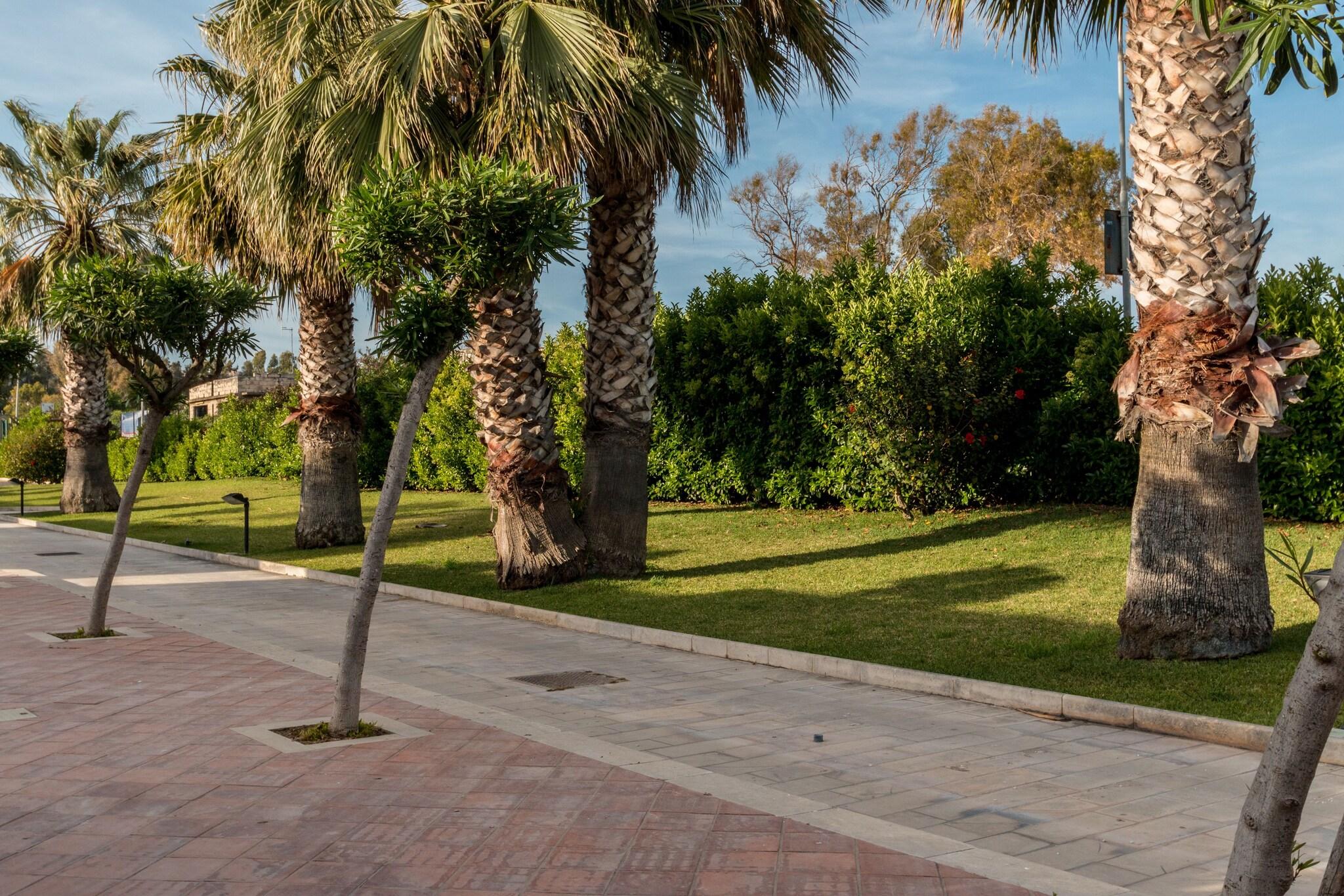 Фото Residence Andrea Doria