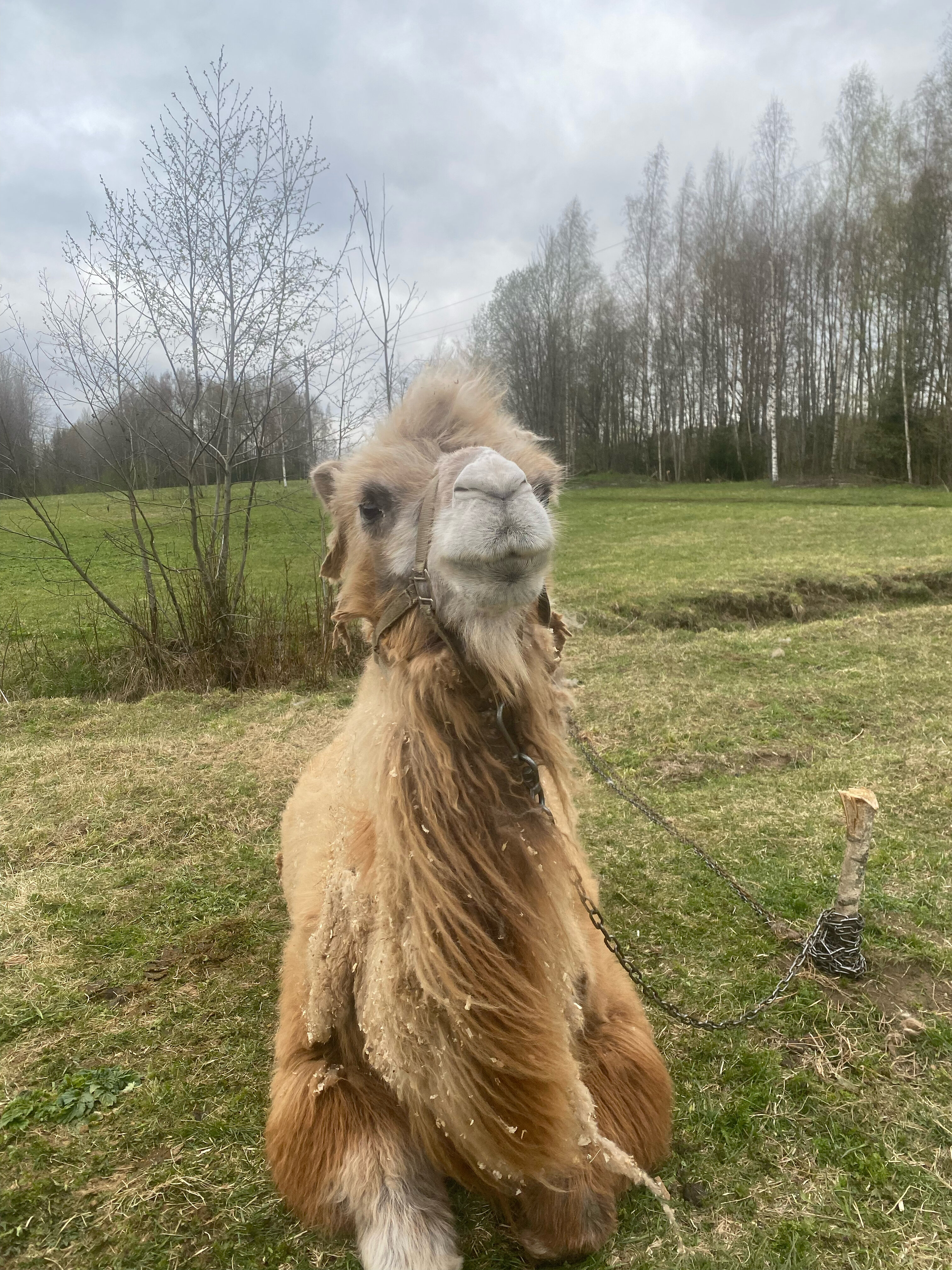 Фото Эковилладж