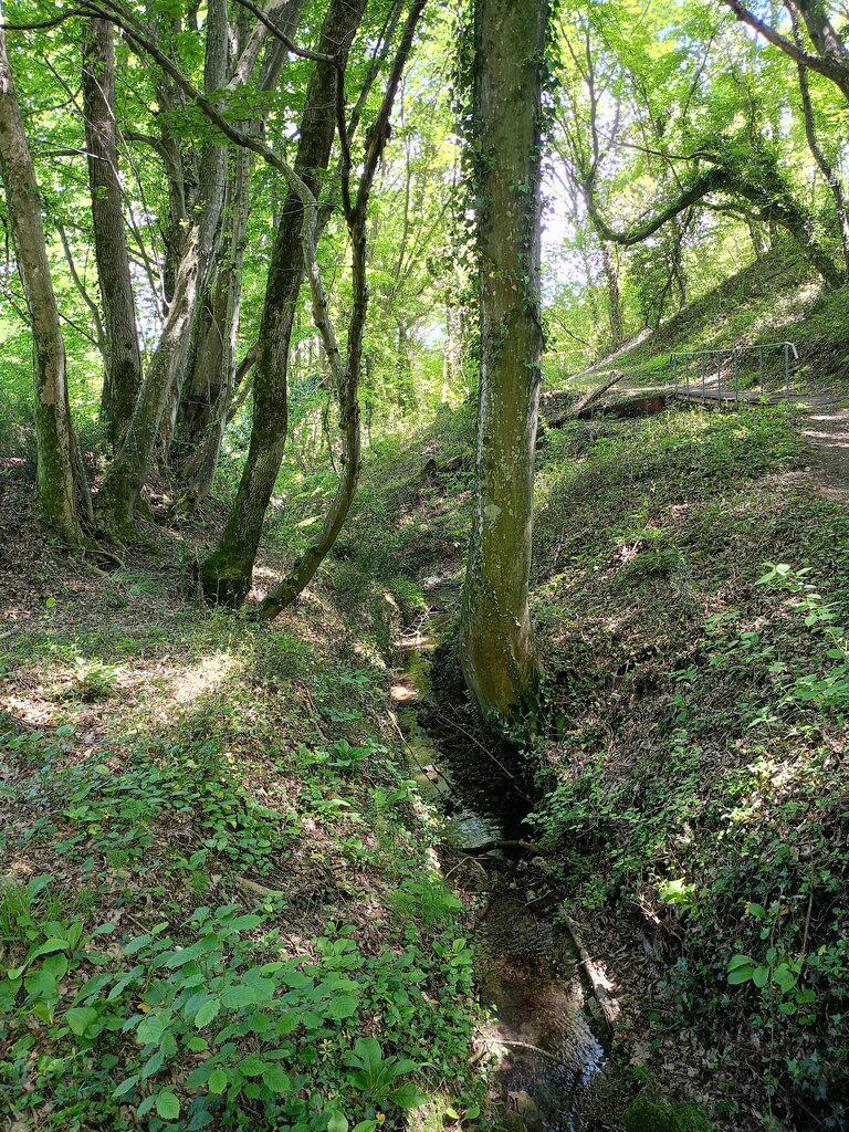 Nature reserve Varvarinka Forest Park, Tuapse, photo
