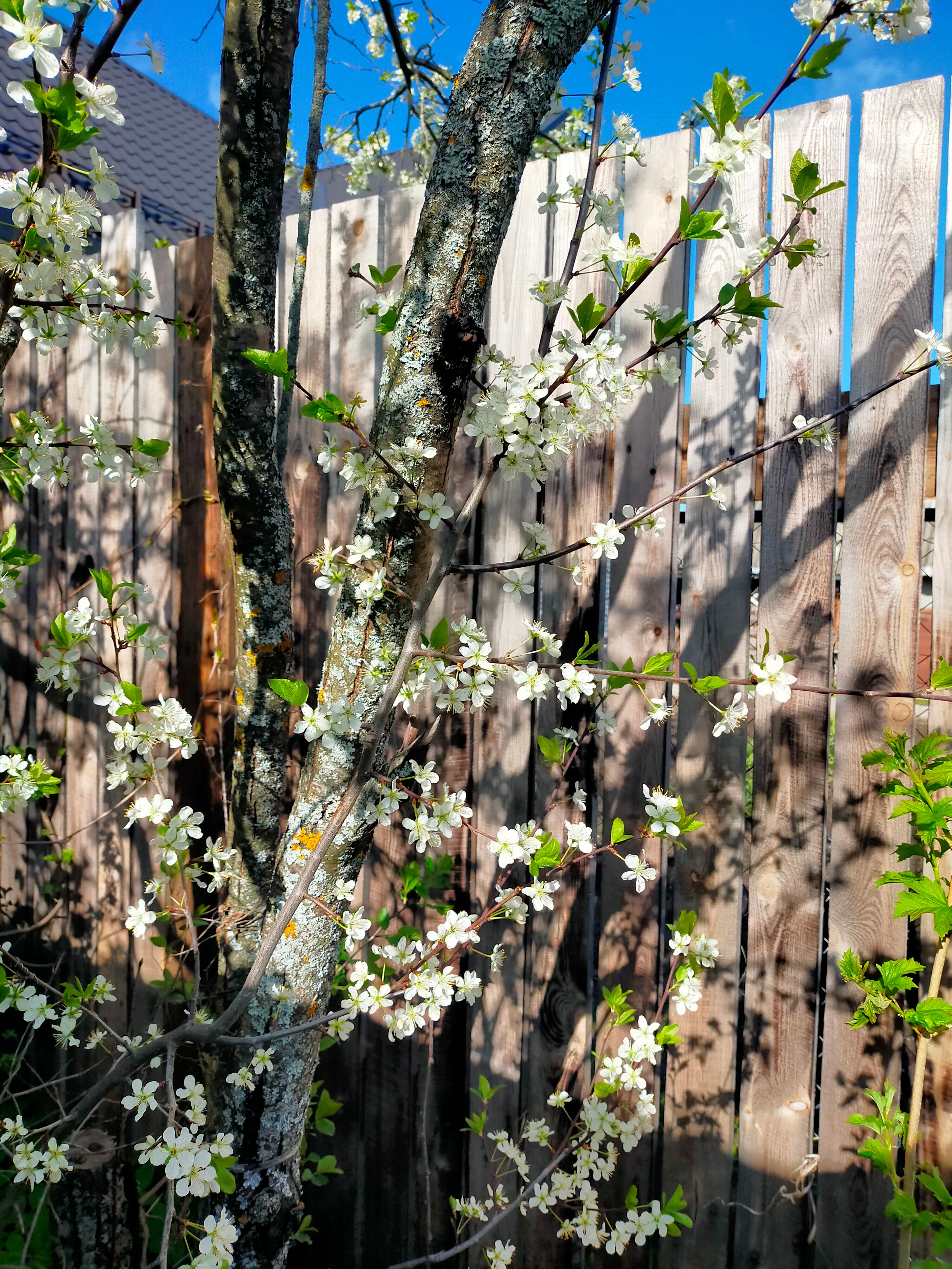 Фото Домики на озере