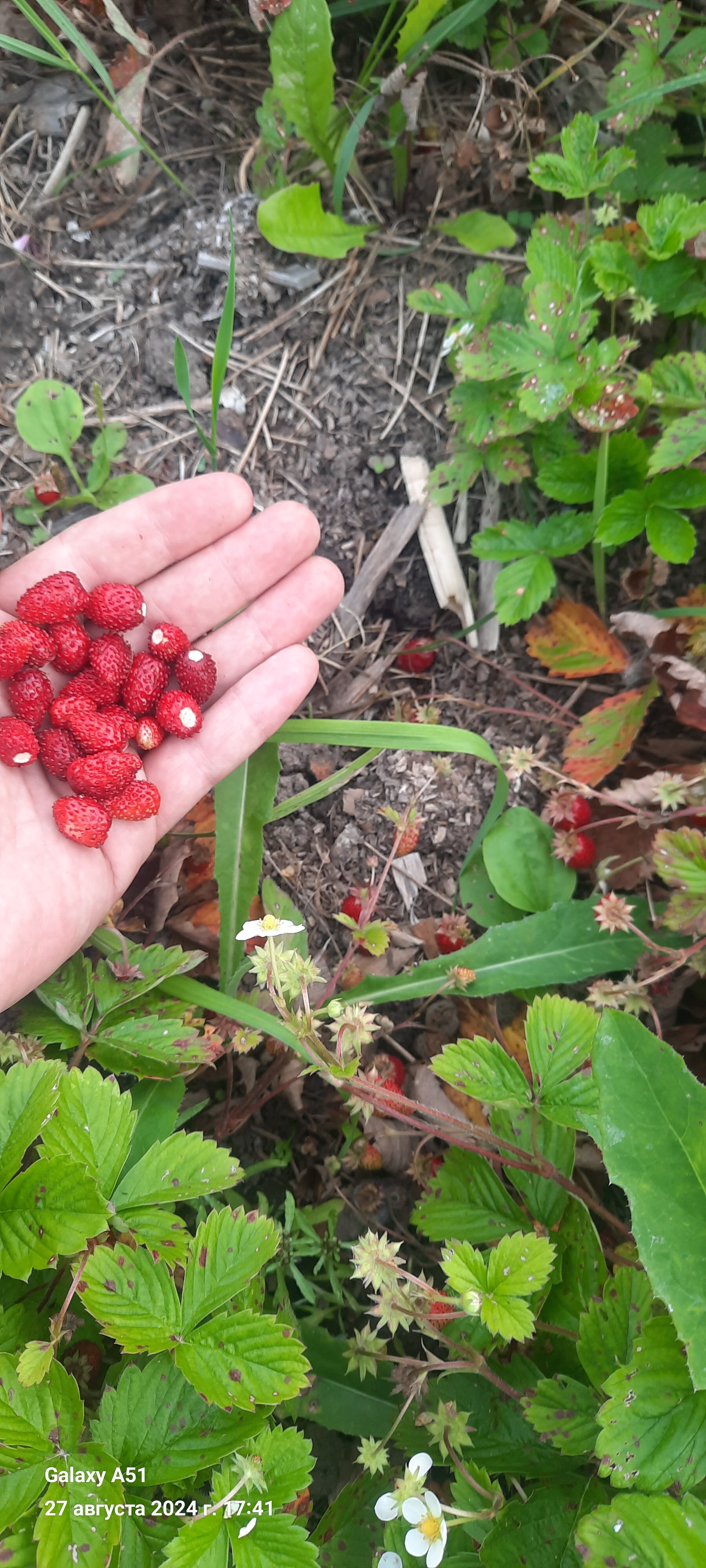 Фото Территория гостеприимства Рогачиха