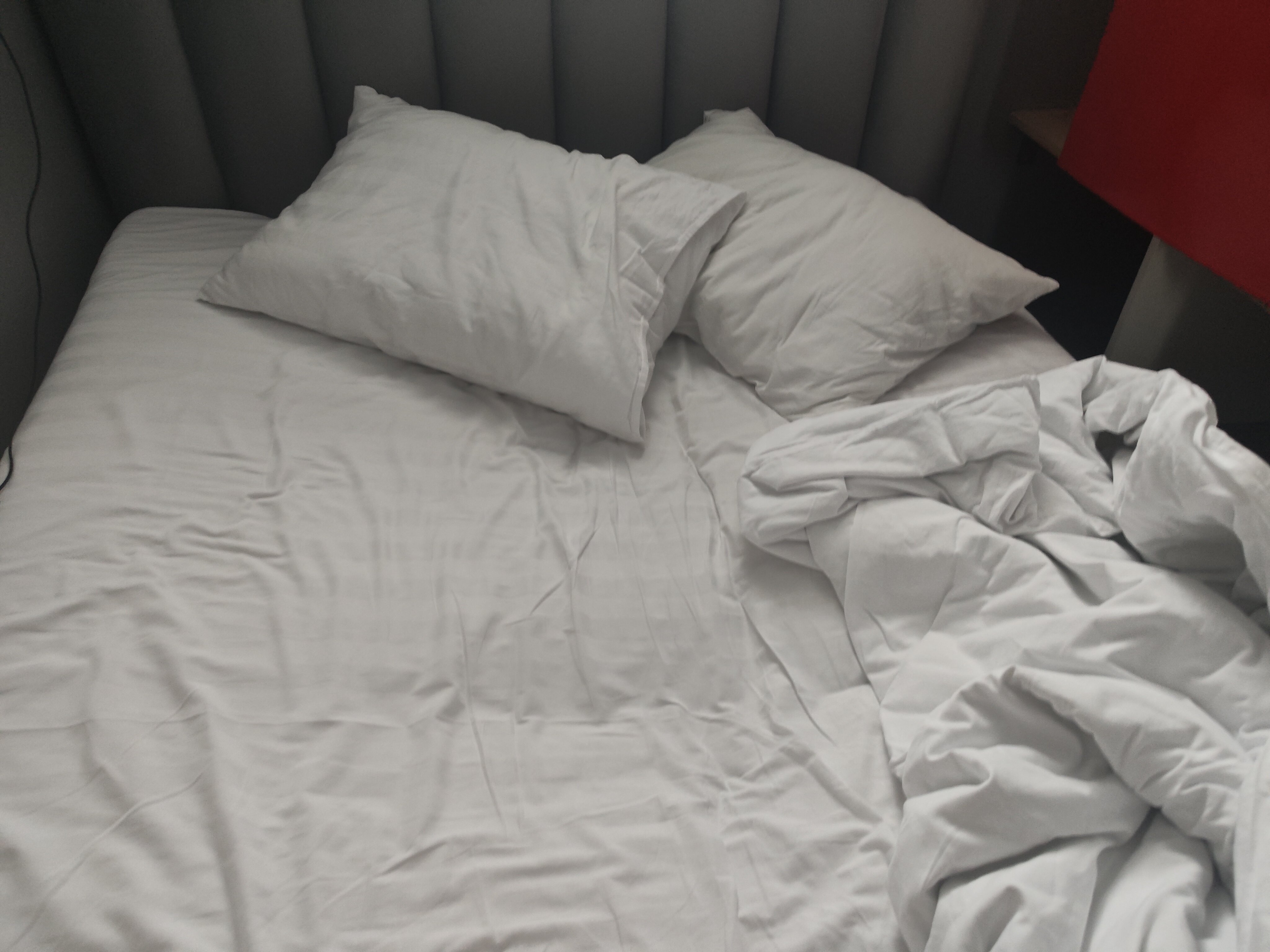 Фото Veda Aparts River House