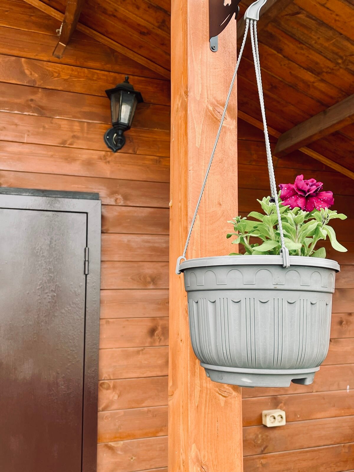 Фото Эко Домики Лаванда