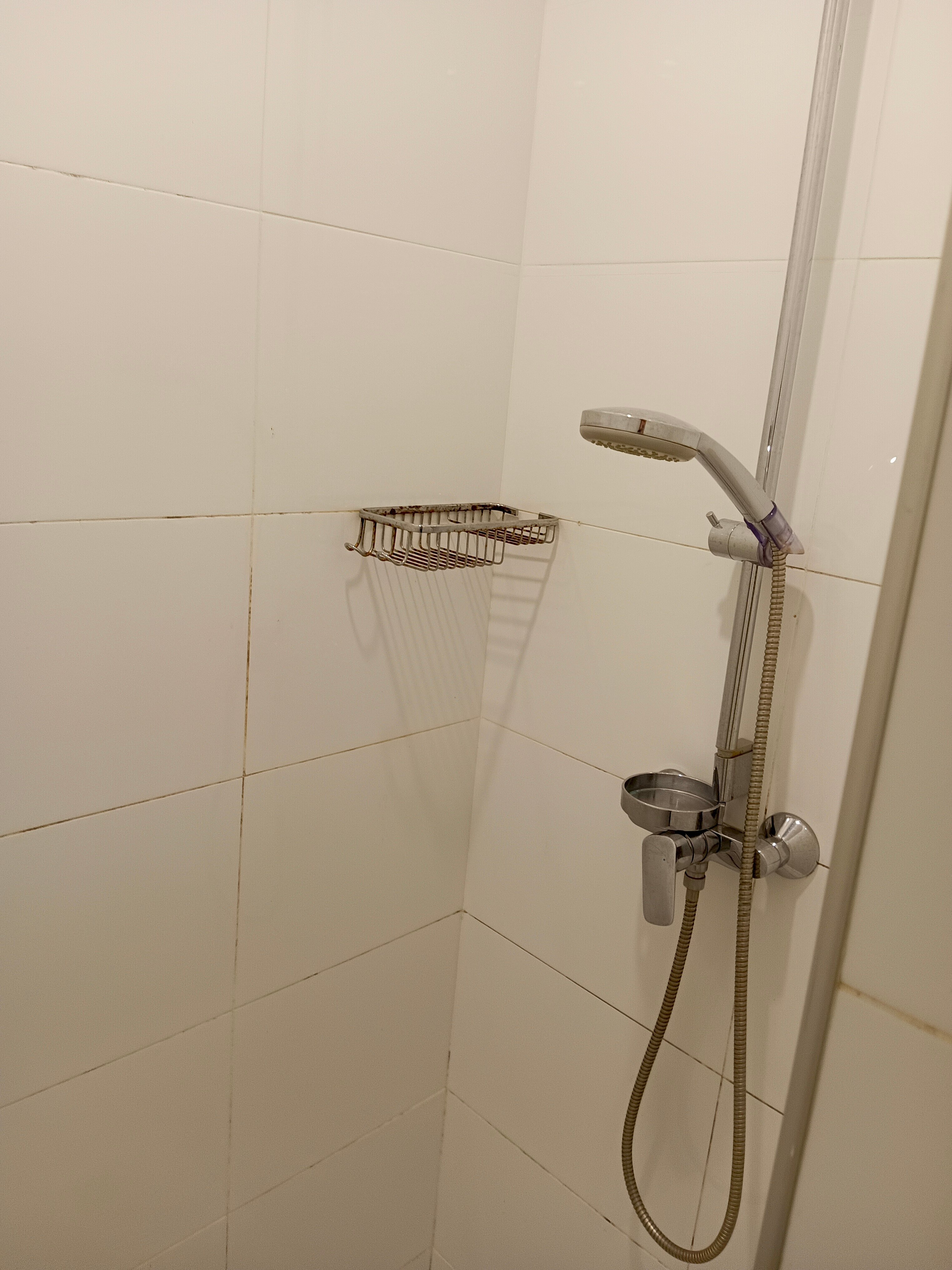 Фото Ротас на Советской