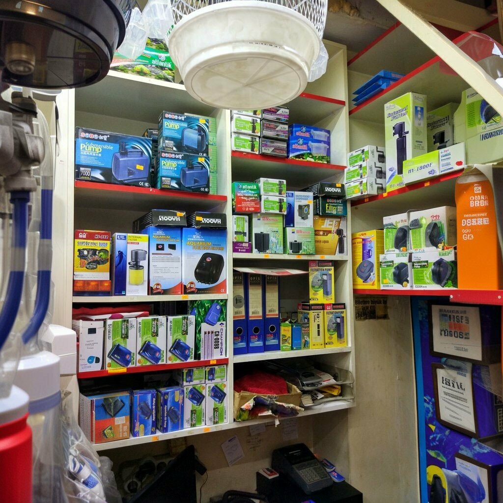 Pet shop Ada Akvaryum, Kayseri, photo