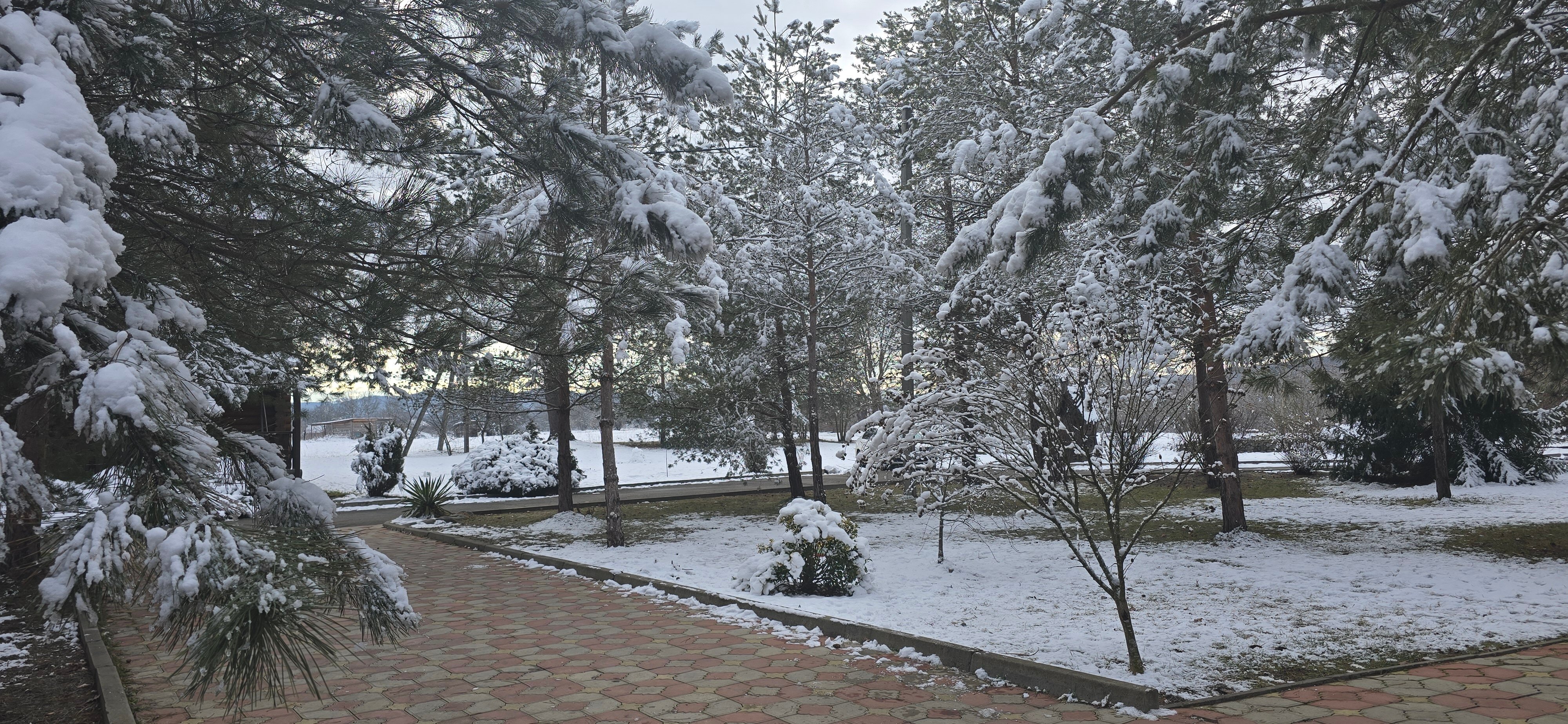 Фото Лукоморье