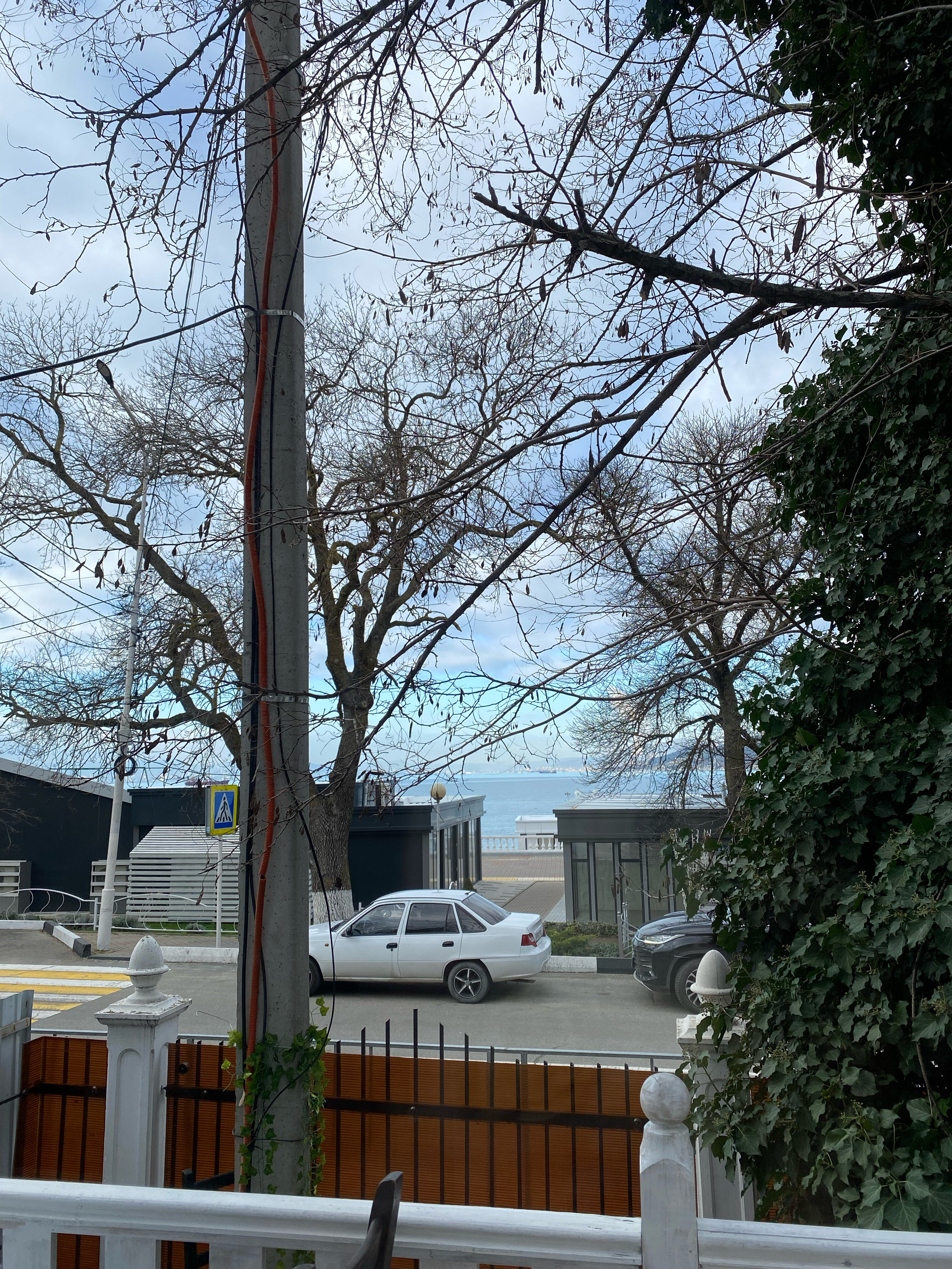 Фото Прованс