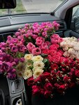 Fresh flowers (Sovetskaya ulitsa, 155), flower shop