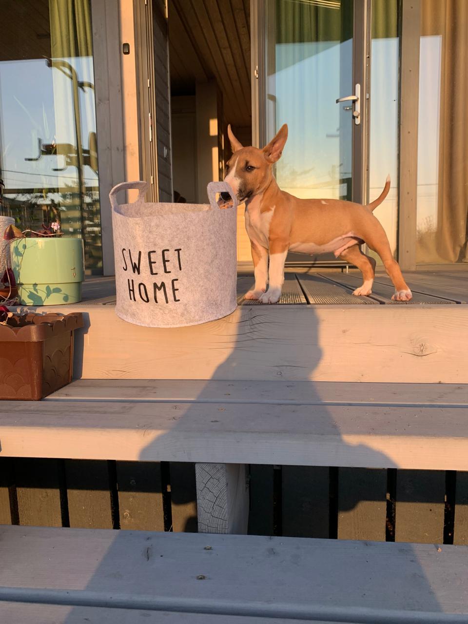 Фото Klever Village