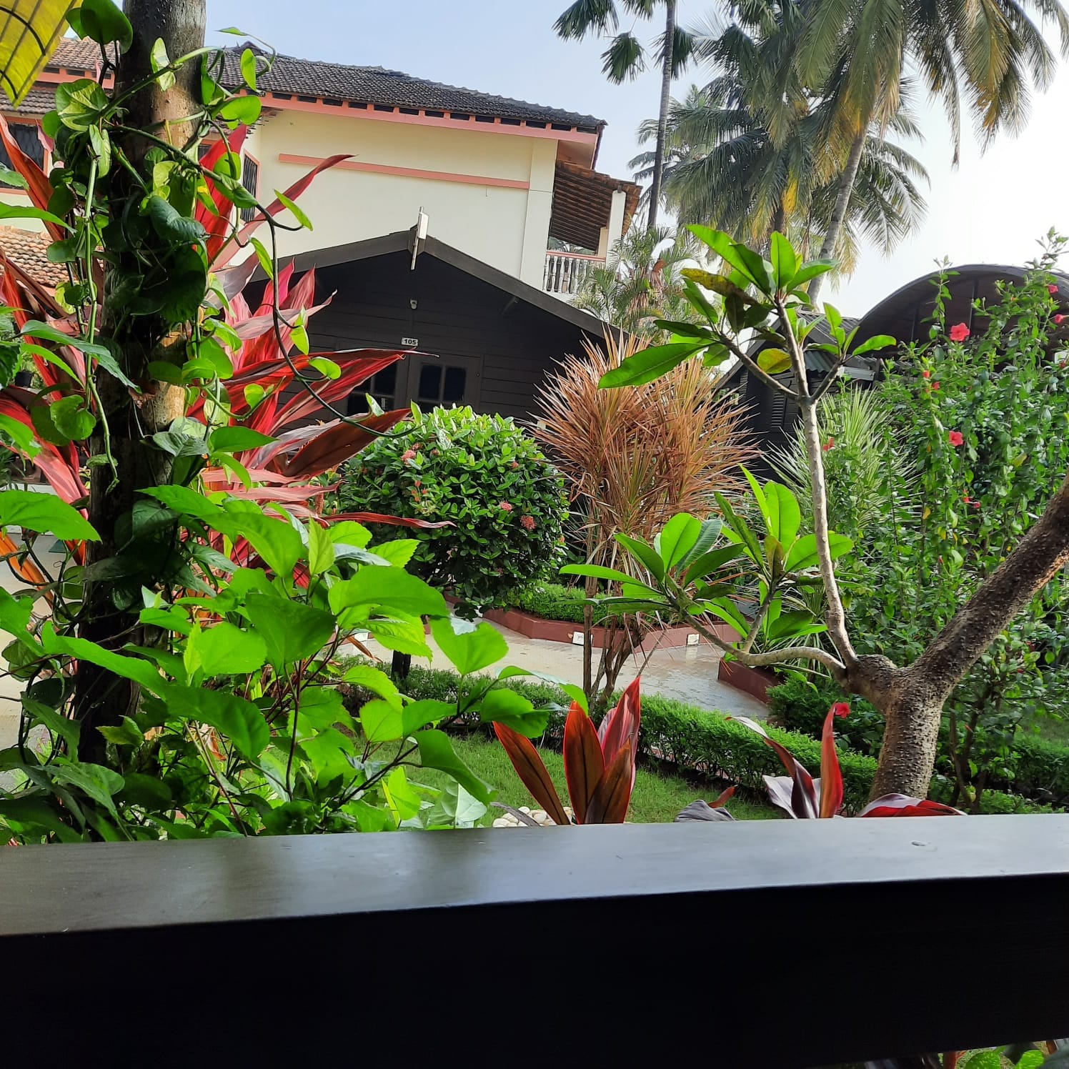 Фото Sal Riviera