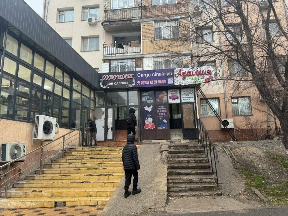 Logistics company Aynalayn Cargo, Chimkent, photo