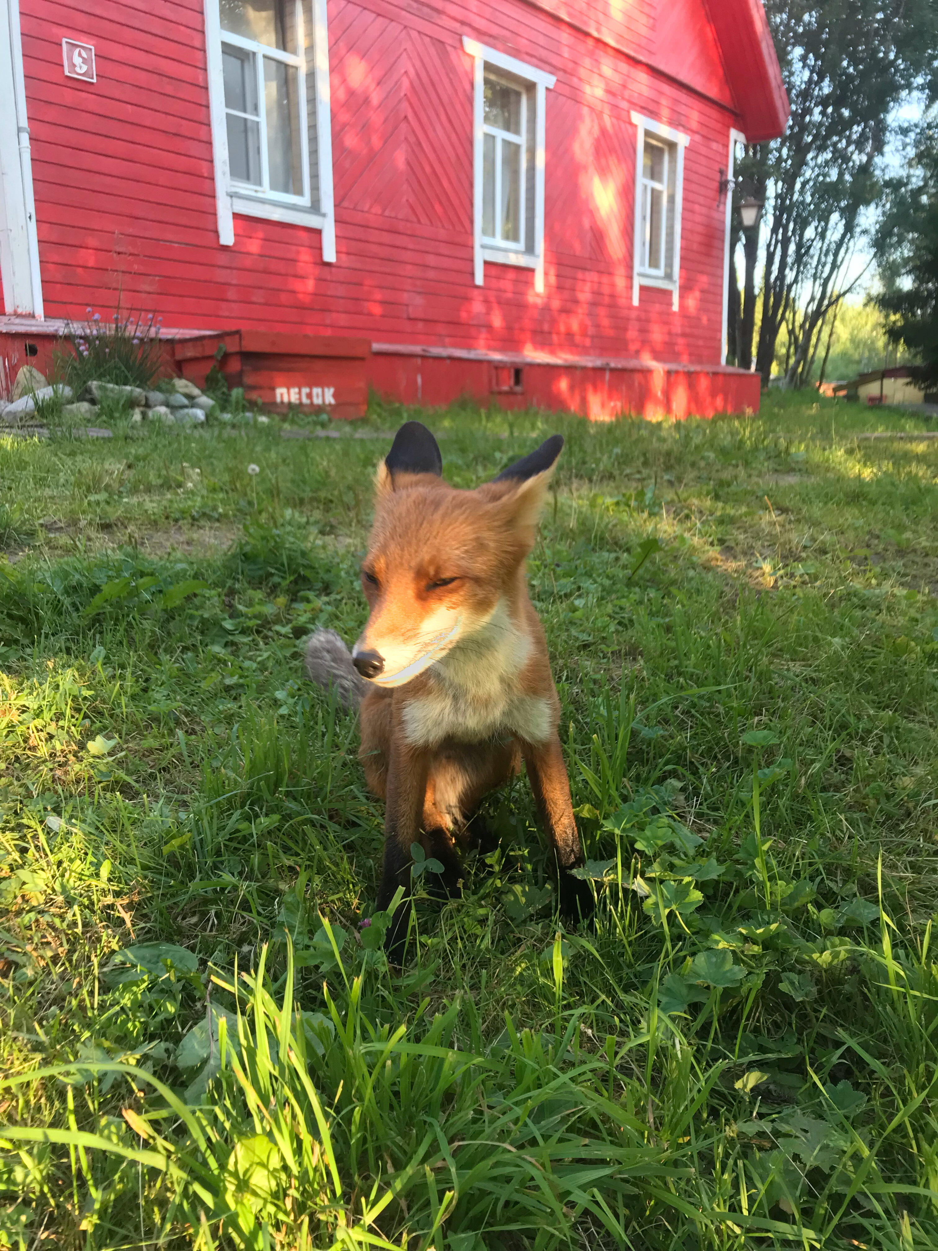 Фото Хутор Варяжский