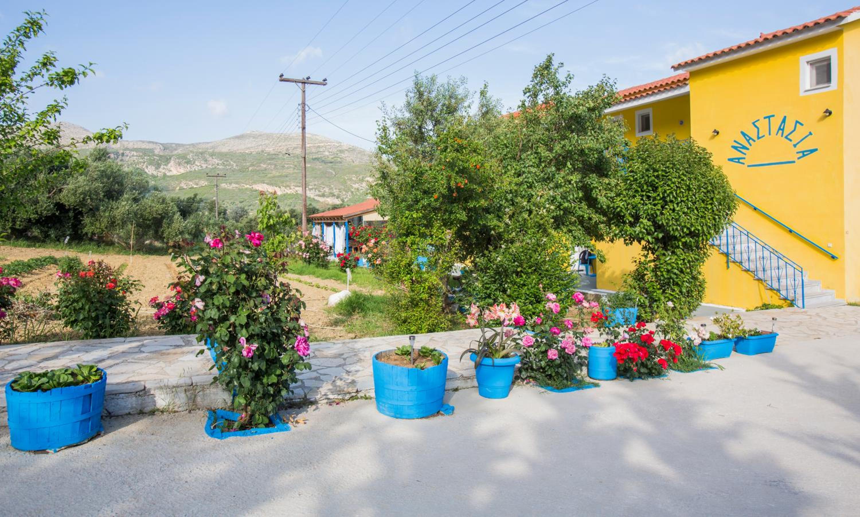 Фото Anastasia Studios