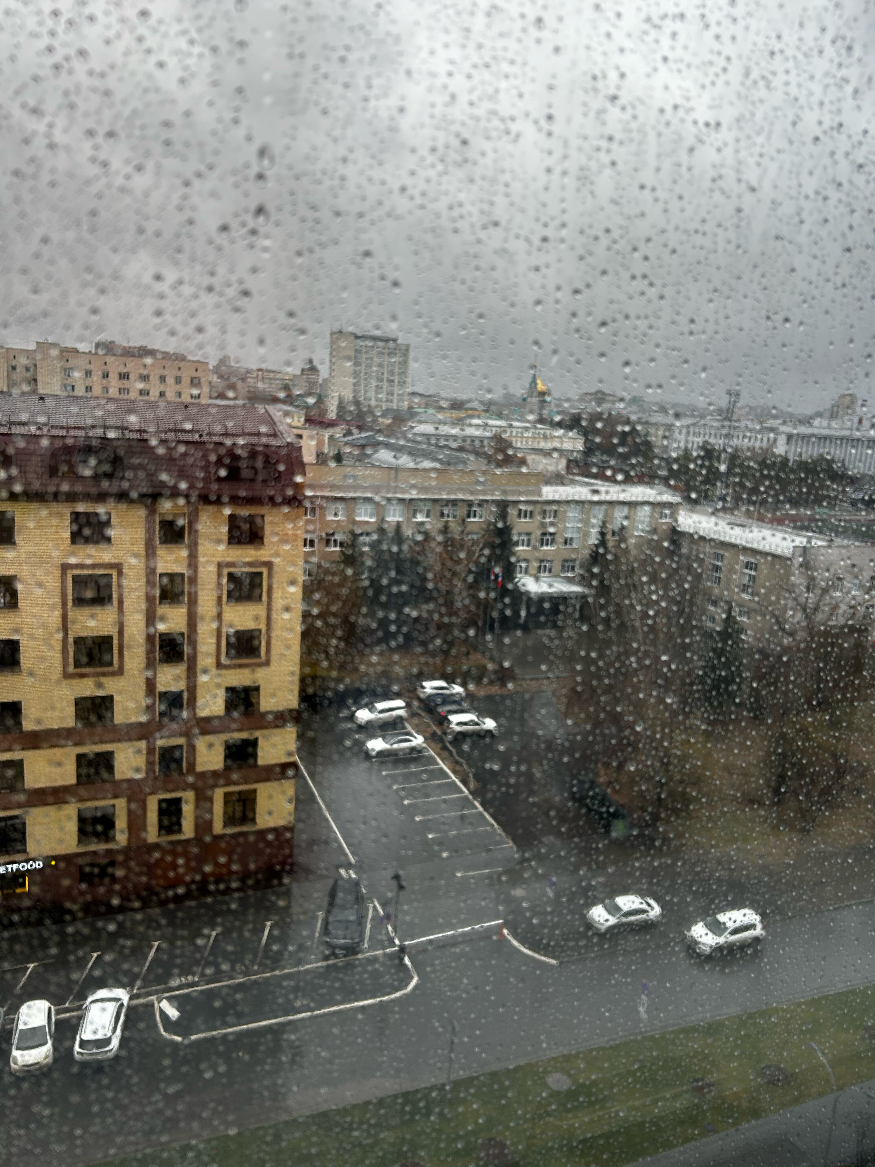 Фото Cosmos Omsk Hotel