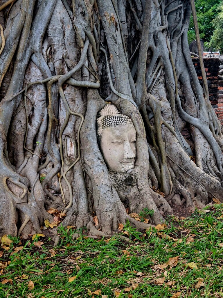 Pagoda Wat Maha That, Earth, photo