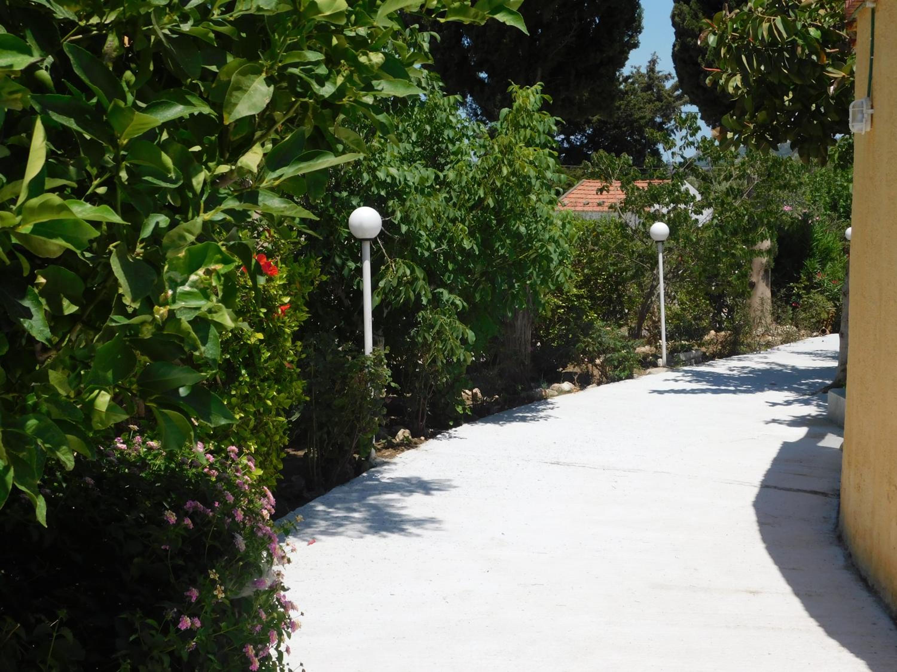 Фото Villa Sofia