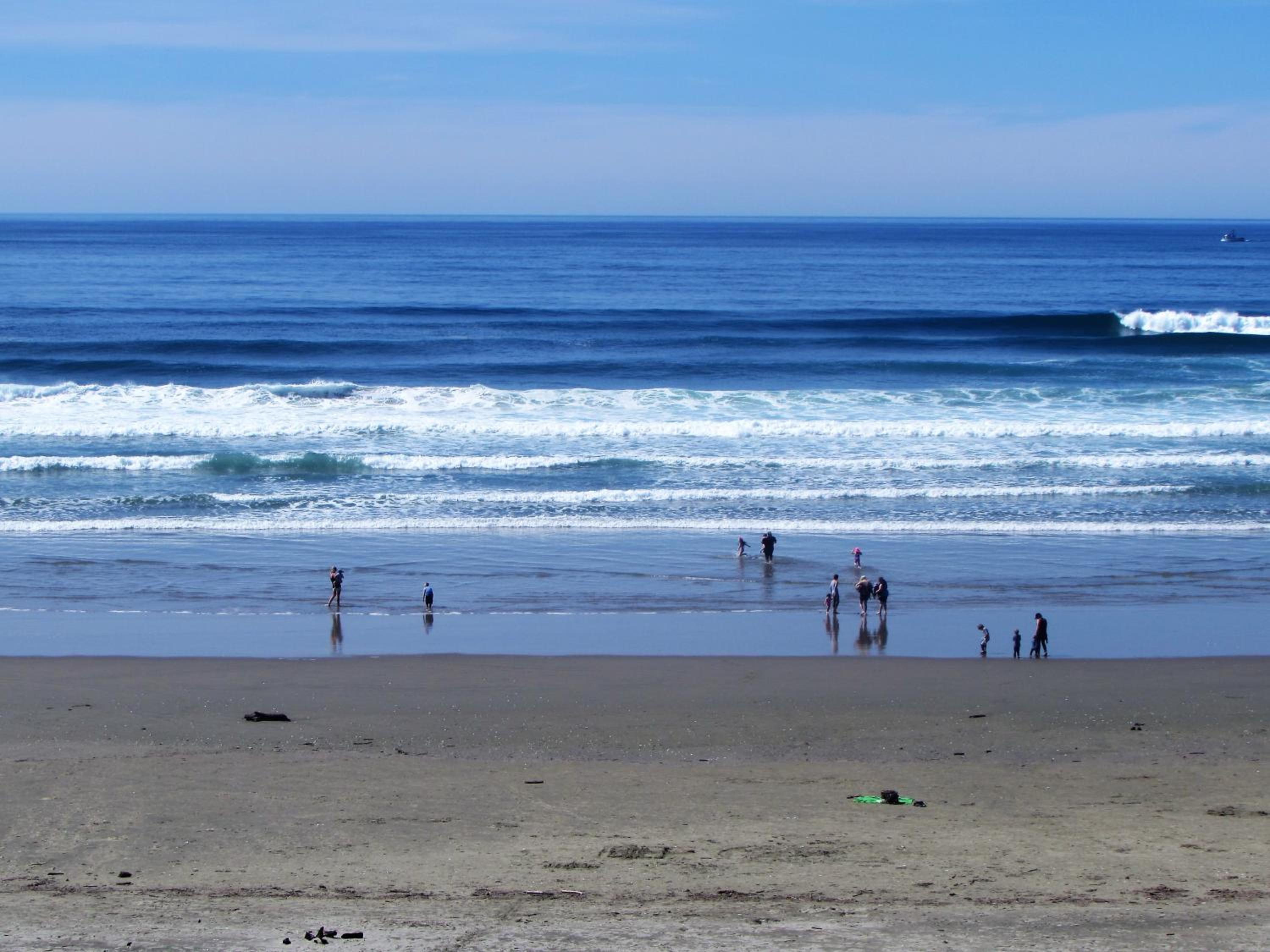 Фото Driftwood Shores Resort And Conference Center