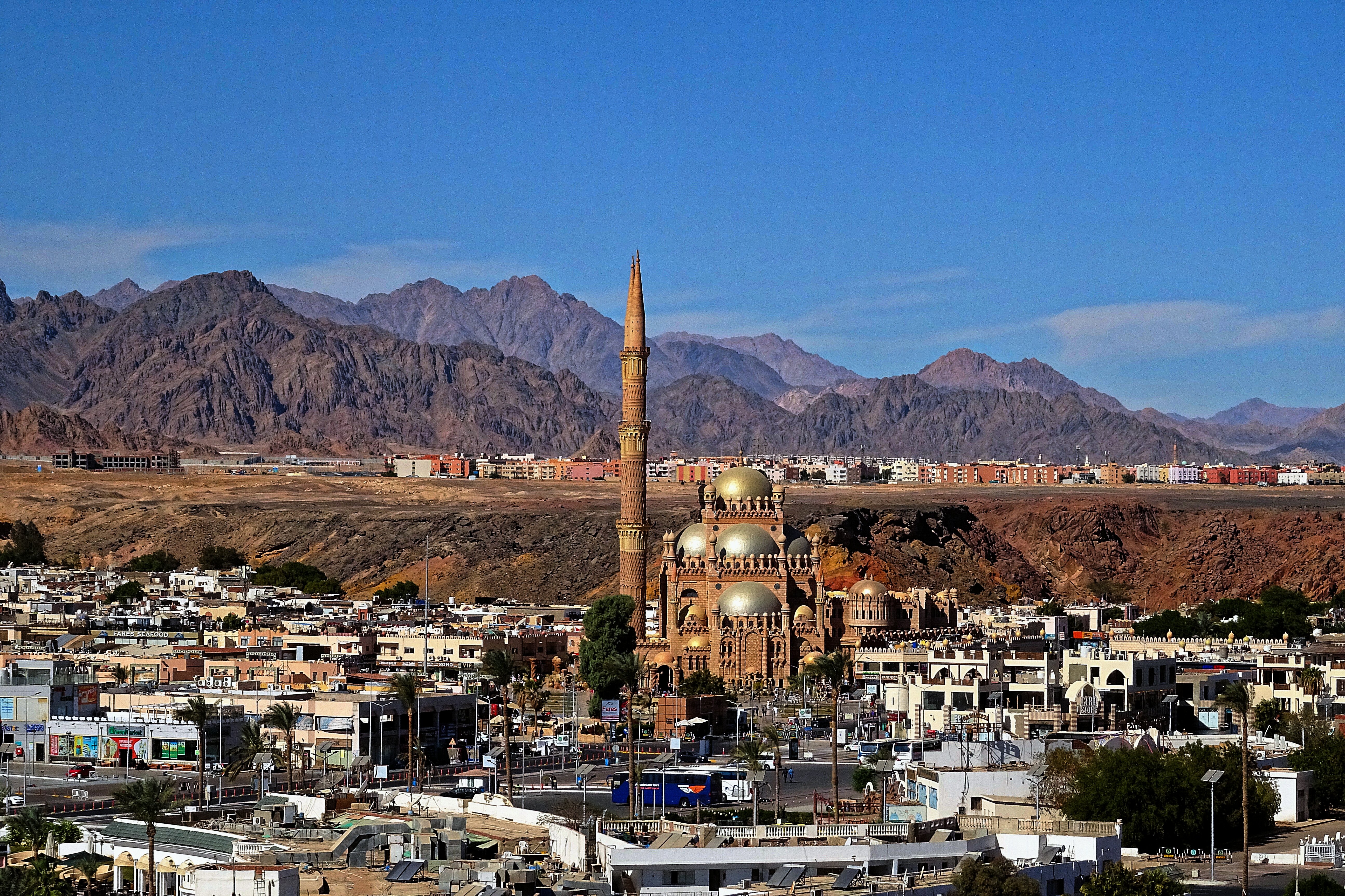 Фото Iberotel Palace