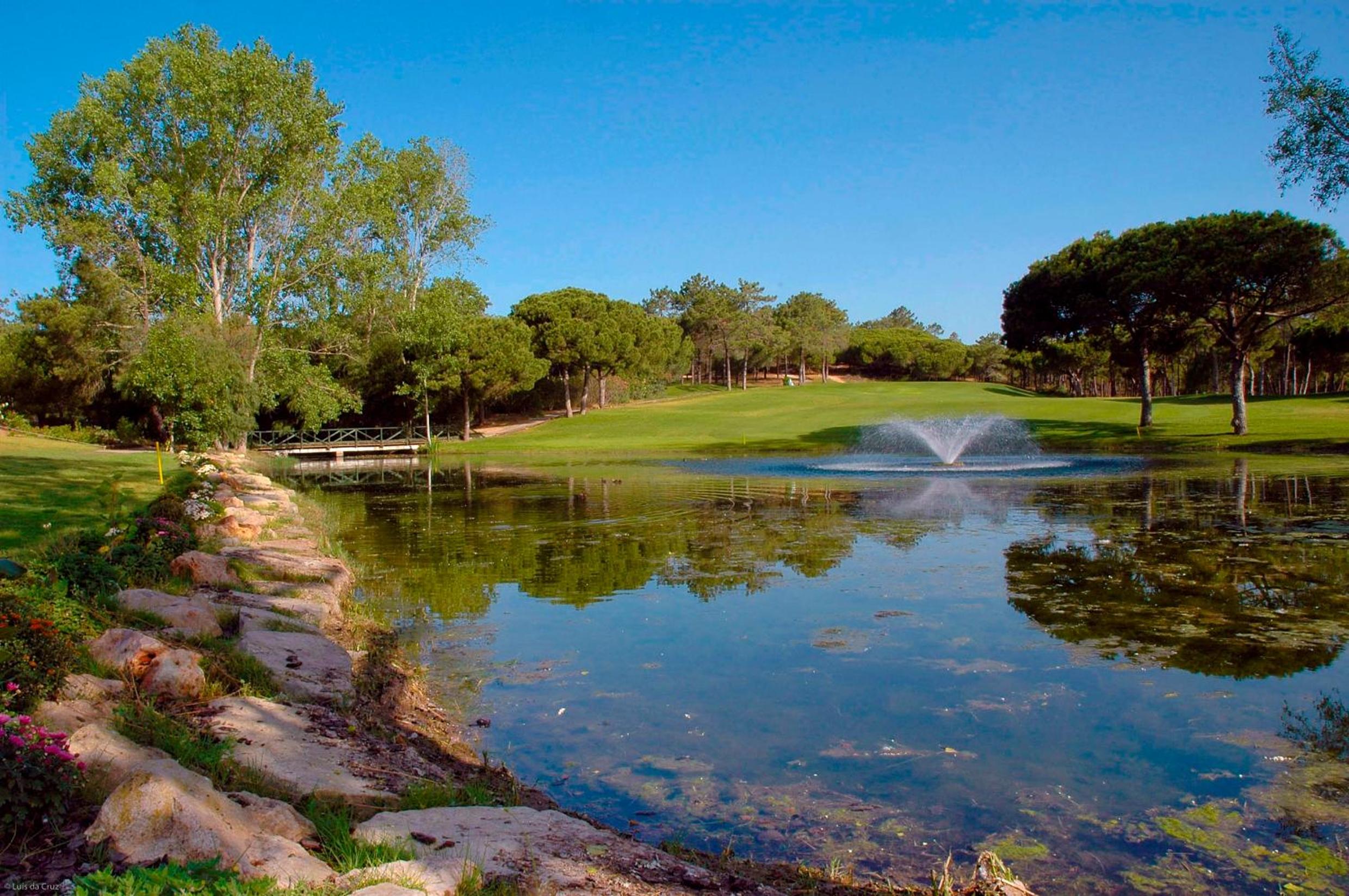 Фото Luna Olympus