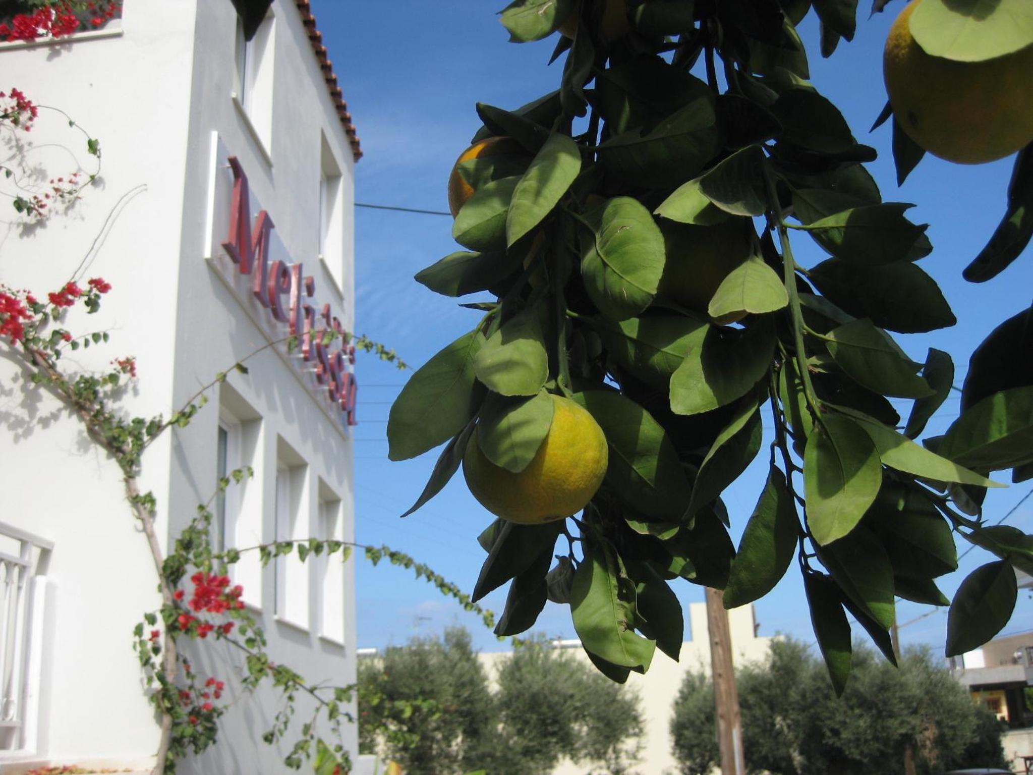 Фото Melissa Apartments