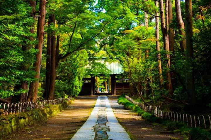 Фото Gen Hotel Kamakaura