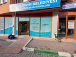 Yildirim Municipality Burial Services (Bursa, Yildirim, Degirmenlikizik Neighborhood, 1st Saglik Street, 1A), funeral services