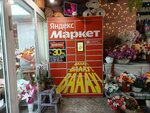 Яндекс Маркет (Kapitanskaya Street, 4), parcel automat