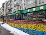 Qiwi (Pushkin Street, 23), payment terminal