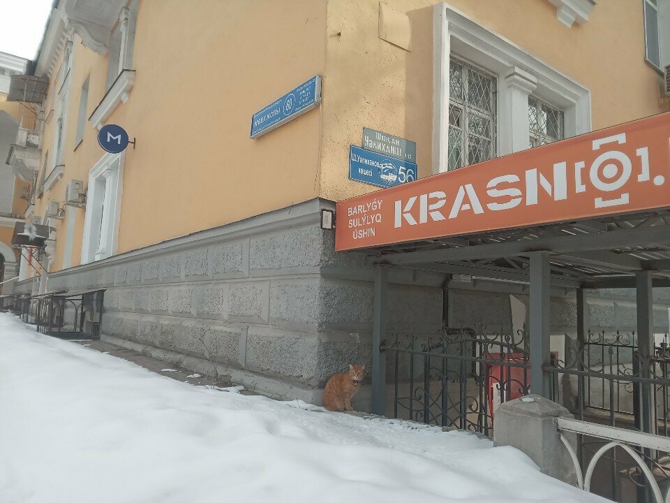 Construction company Art Max Group, Almaty, photo