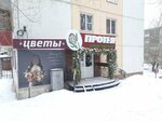 Протея (ulitsa Ilyi Mukhachyova, 151), flower shop