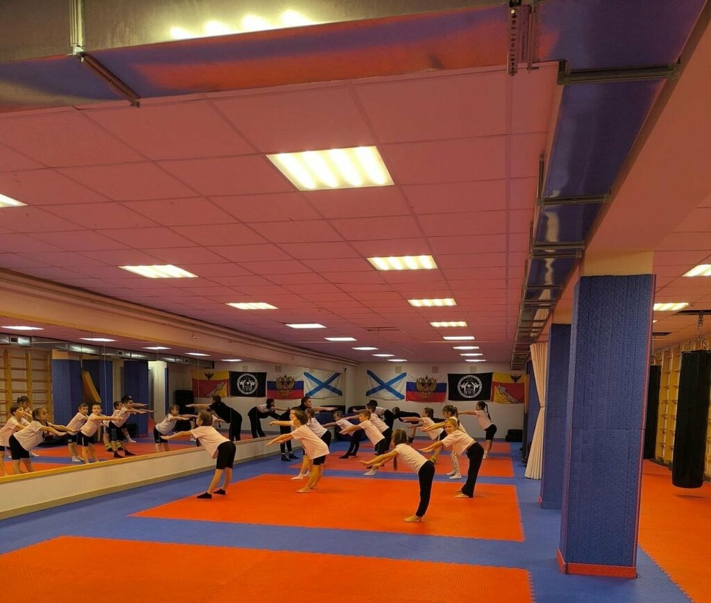 Sports club Юный акробат, Voronezh, photo