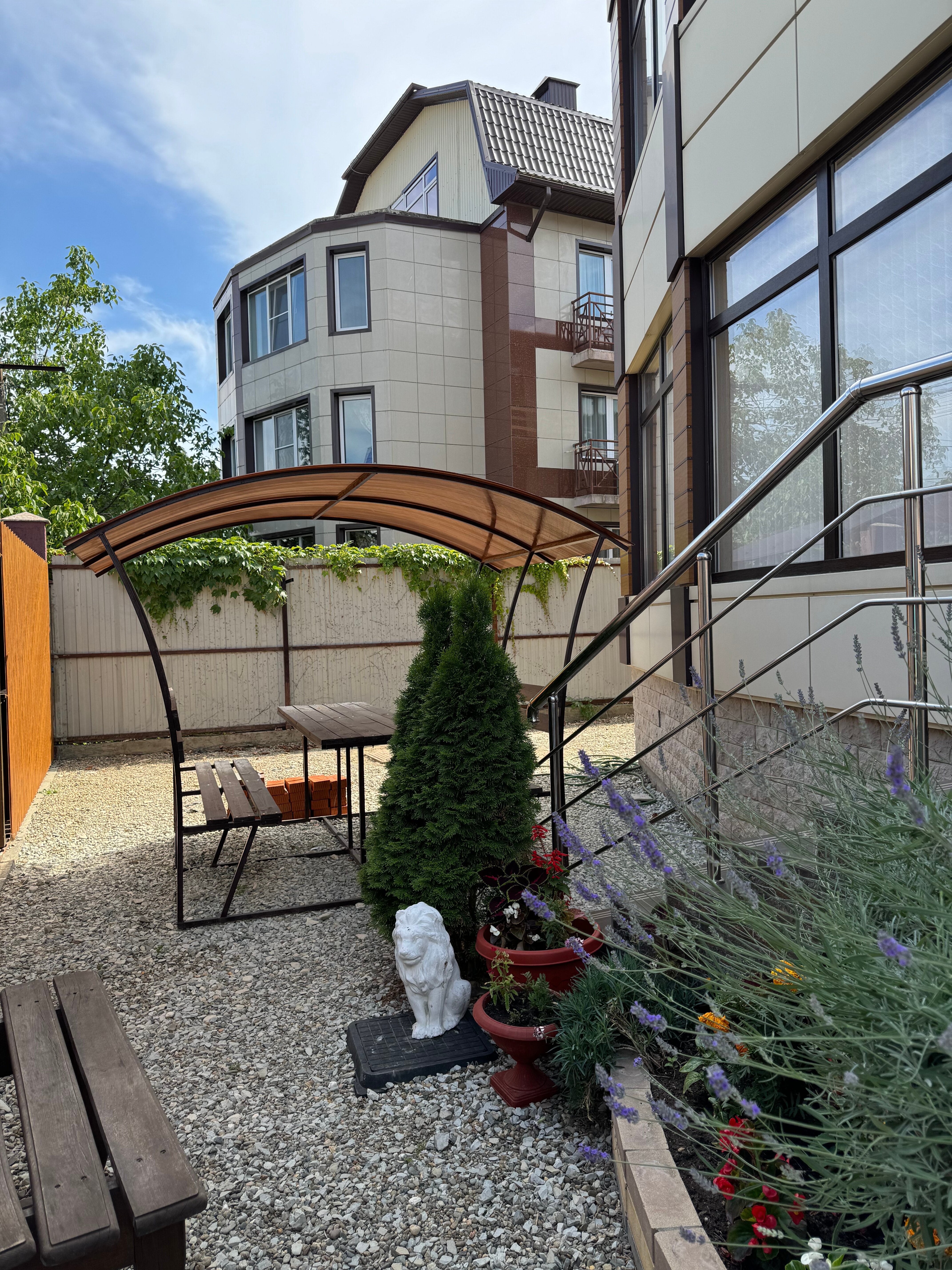 Фото Золотой абрикос