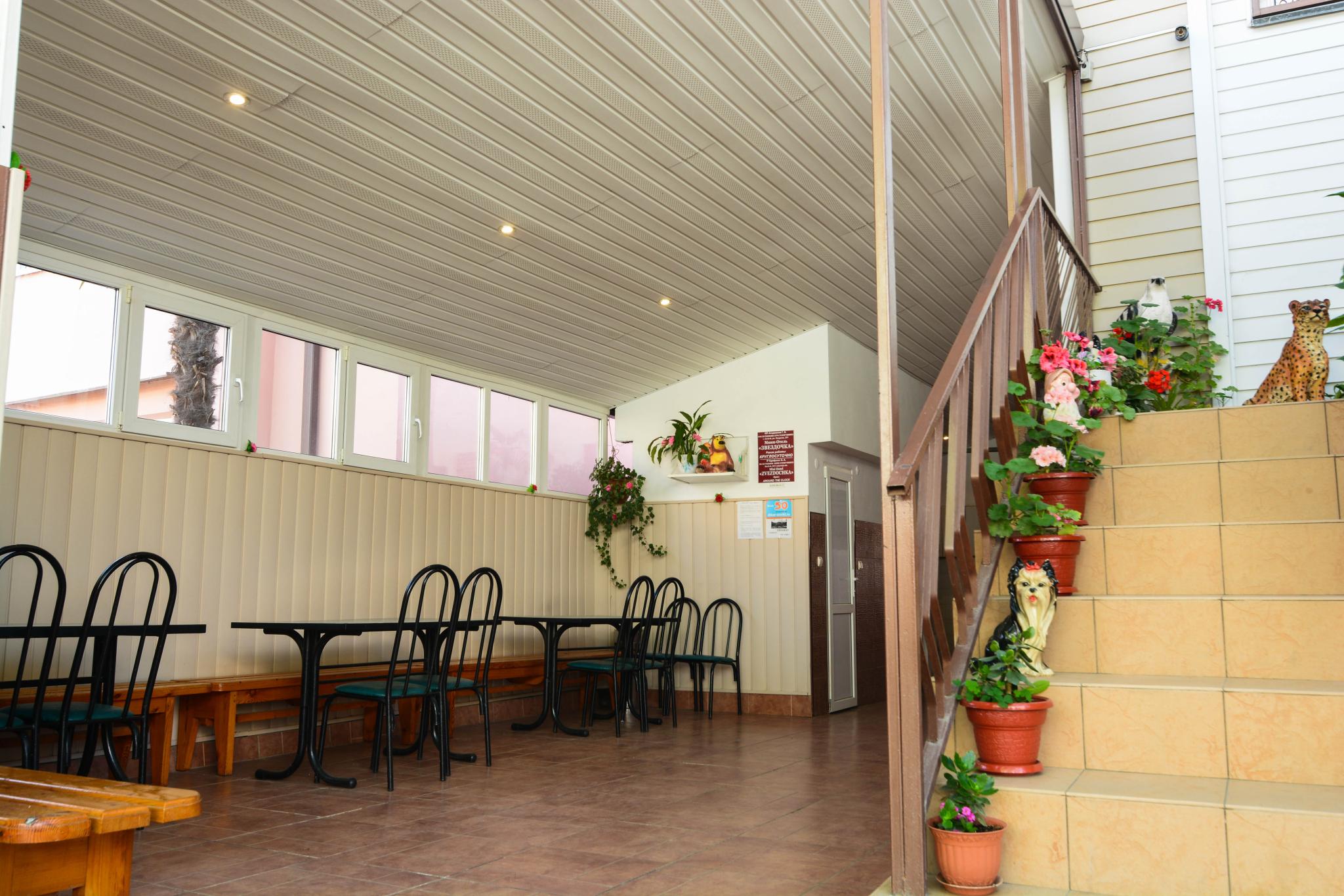 Фото Звёздочка