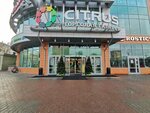 Созвездие шахматистов (Moskovskaya Street, 14А), club para niños y adolescentes
